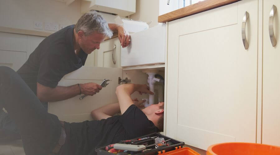 Professional Water Damage Mitigation services in Balsam Grove, NC